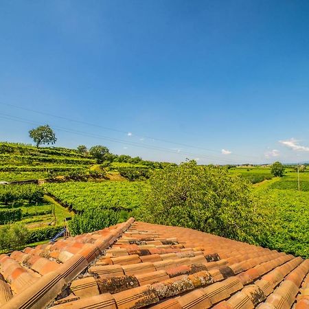 Agriturismo Corte Albarel Castelnuovo del Garda Exteriér fotografie