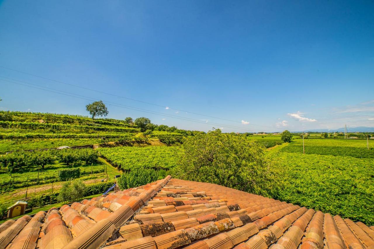 Agriturismo Corte Albarel Castelnuovo del Garda Exteriér fotografie