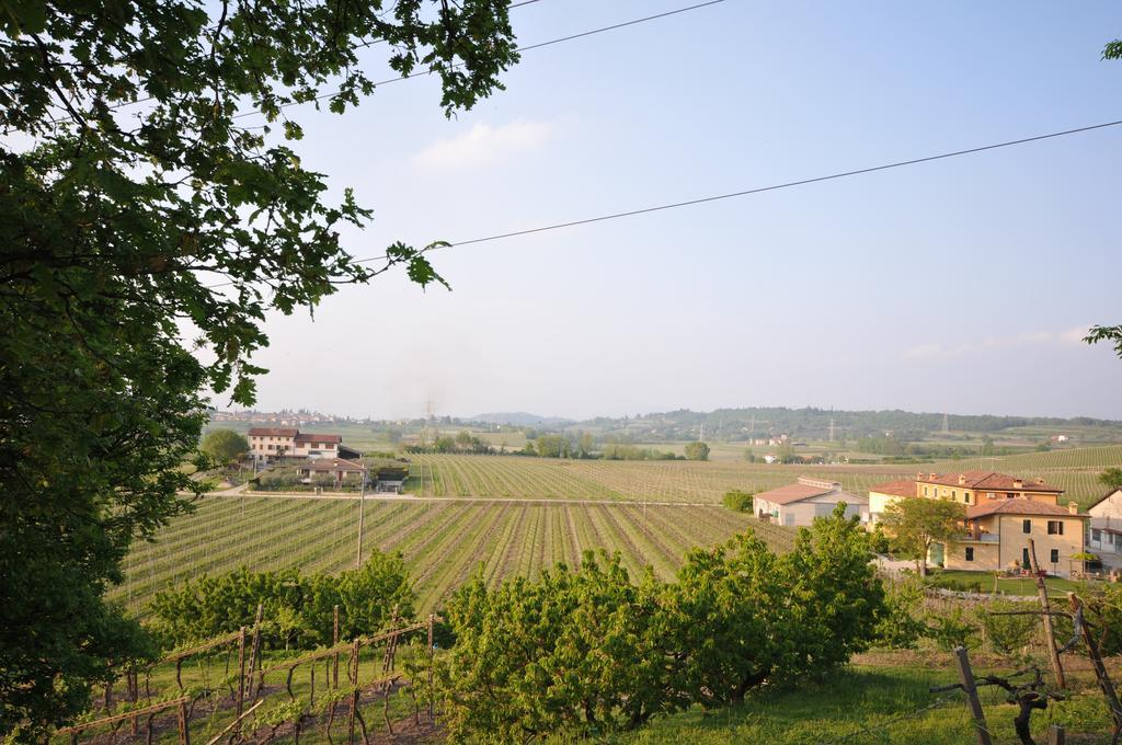 Agriturismo Corte Albarel Castelnuovo del Garda Exteriér fotografie