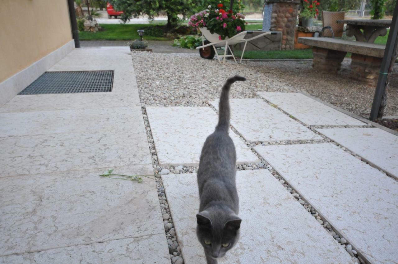 Agriturismo Corte Albarel Castelnuovo del Garda Exteriér fotografie