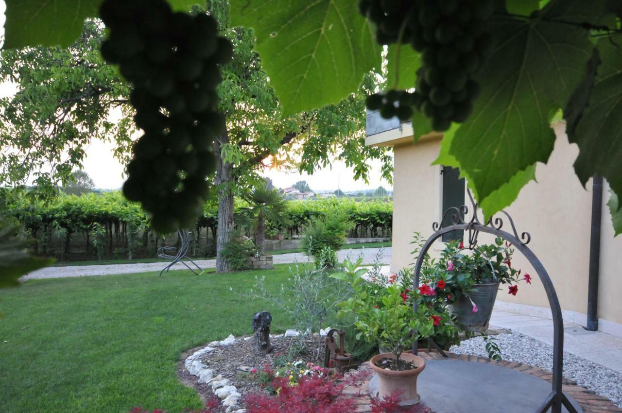 Agriturismo Corte Albarel Castelnuovo del Garda Exteriér fotografie