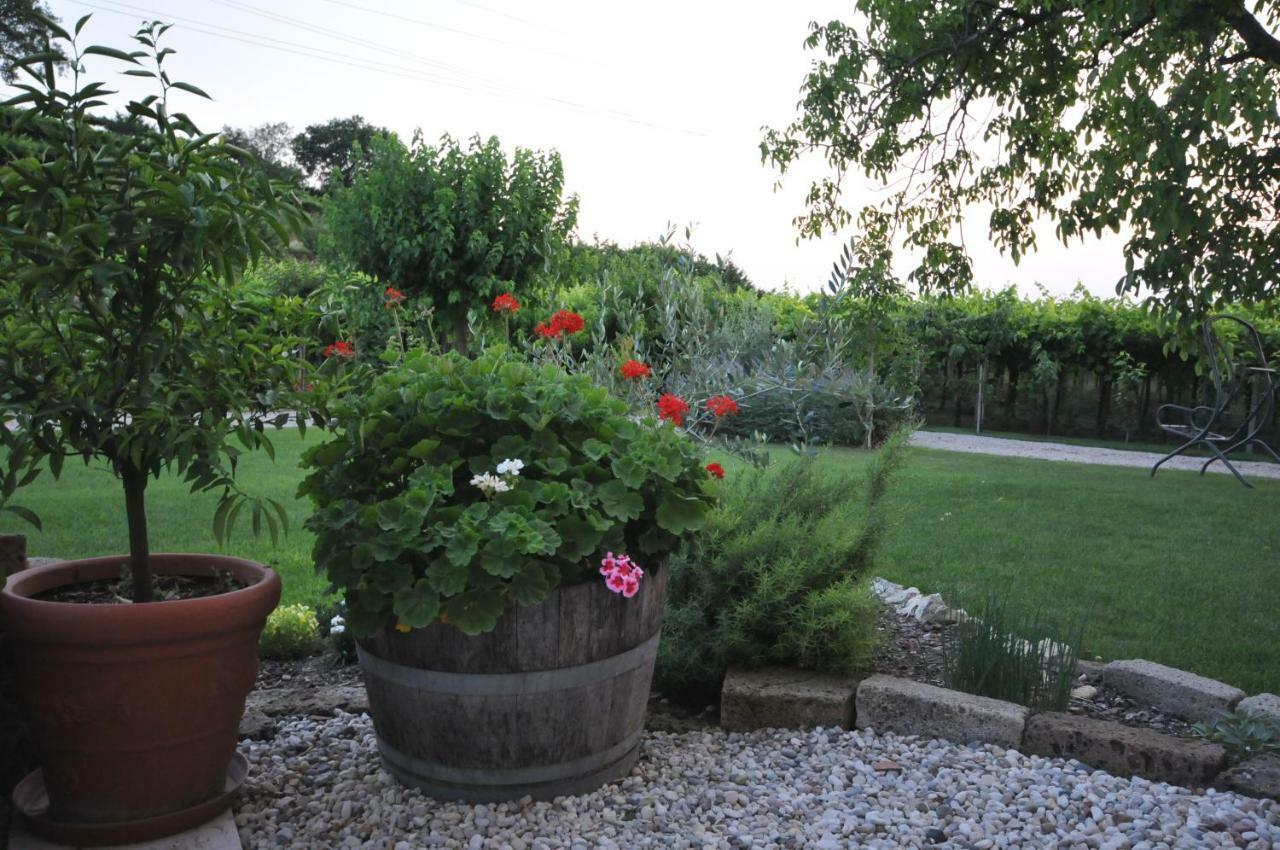 Agriturismo Corte Albarel Castelnuovo del Garda Exteriér fotografie